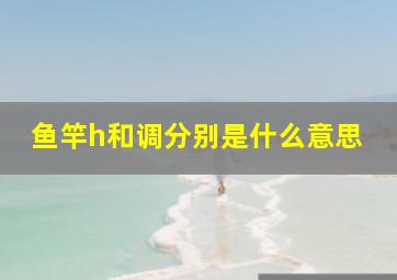 鱼竿h和调分别是什么意思