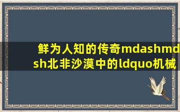 鲜为人知的传奇——北非沙漠中的“机械化打劫队”