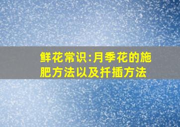 鲜花常识:月季花的施肥方法以及扦插方法 