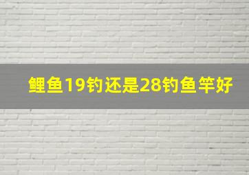 鲤鱼19钓还是28钓鱼竿好