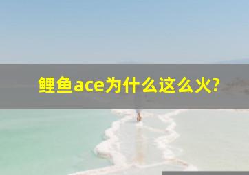 鲤鱼ace为什么这么火?