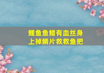 鲤鱼鱼鳍有血丝,身上掉鳞片,救救鱼把