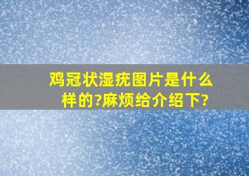 鸡冠状湿疣图片是什么样的?麻烦给介绍下?