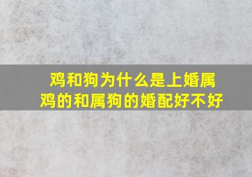 鸡和狗为什么是上婚,属鸡的和属狗的婚配好不好