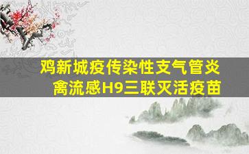 鸡新城疫传染性支气管炎禽流感H9三联灭活疫苗