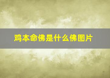 鸡本命佛是什么佛图片