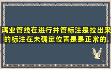 鸿业管线在进行井管标注是,拉出来的标注在未确定位置是是正常的,...