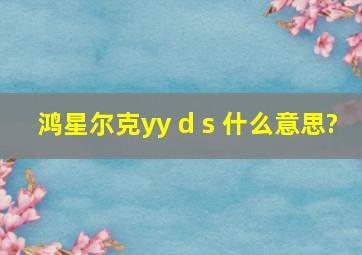 鸿星尔克yy d s 什么意思?