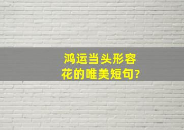 鸿运当头形容花的唯美短句?