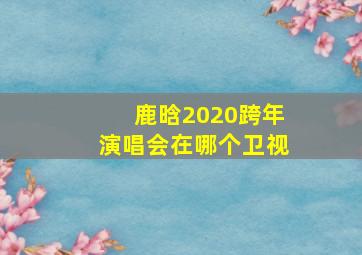 鹿晗2020跨年演唱会在哪个卫视