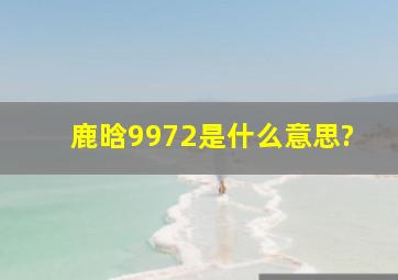 鹿晗9972是什么意思?