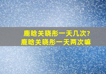 鹿晗关晓彤一天几次?鹿晗关晓彤一天两次嘛