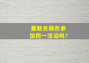 鹿晗关晓彤参加同一活动吗?