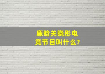 鹿晗关晓彤电竞节目叫什么?