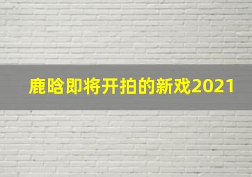 鹿晗即将开拍的新戏2021(