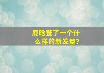 鹿晗整了一个什么样的新发型?