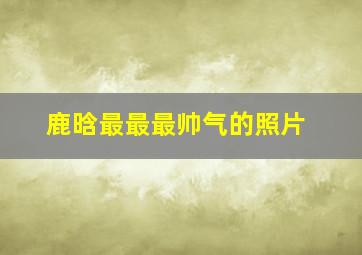 鹿晗最最最帅气的照片。