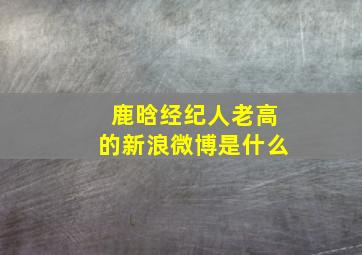 鹿晗经纪人老高的新浪微博是什么