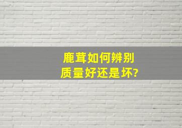 鹿茸如何辨别质量好还是坏?