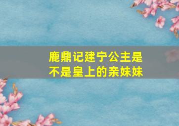 鹿鼎记建宁公主是不是皇上的亲妹妹