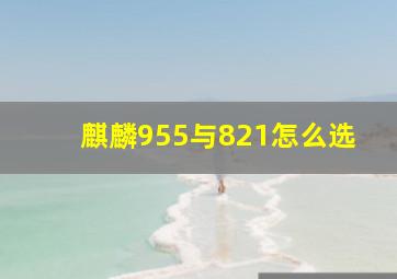 麒麟955与821怎么选