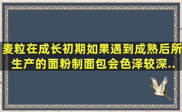 麦粒在成长初期如果遇到(),成熟后所生产的面粉制面包,会色泽较深、...