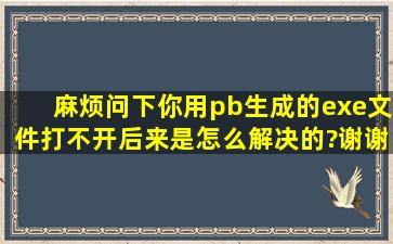 麻烦问下你用pb生成的exe文件打不开后来是怎么解决的?谢谢!!