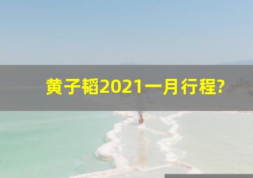 黄子韬2021一月行程?