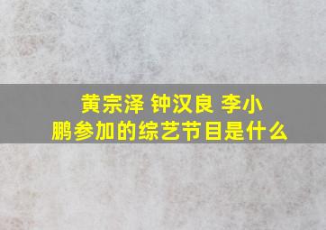 黄宗泽 钟汉良 李小鹏参加的综艺节目是什么