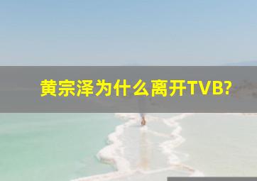 黄宗泽为什么离开TVB?