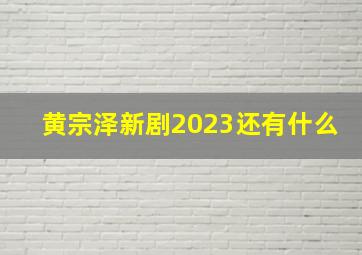 黄宗泽新剧2023还有什么