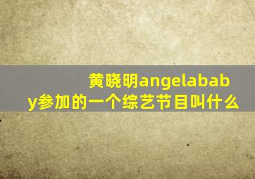 黄晓明angelababy参加的一个综艺节目叫什么