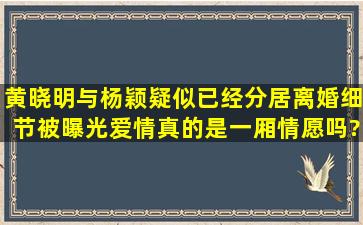 黄晓明与杨颖疑似已经分居,离婚细节被曝光,爱情真的是一厢情愿吗?