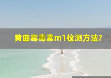 黄曲霉毒素m1检测方法?