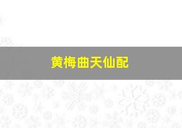 黄梅曲天仙配