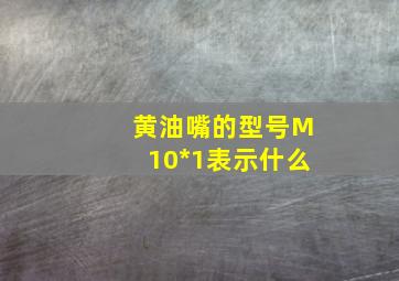 黄油嘴的型号M10*1表示什么