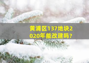 黄浦区137地块2020年能改建吗?