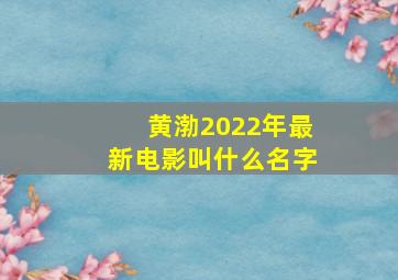 黄渤2022年最新电影叫什么名字