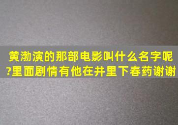 黄渤演的那部电影叫什么名字呢?里面剧情有他在井里下春药。谢谢