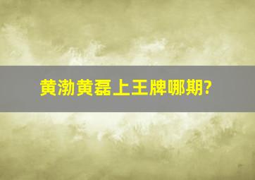 黄渤黄磊上王牌哪期?