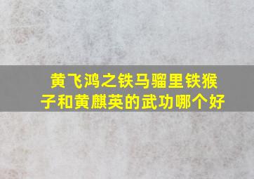 黄飞鸿之铁马骝里铁猴子和黄麒英的武功哪个好(