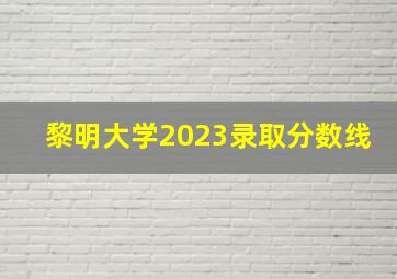 黎明大学2023录取分数线