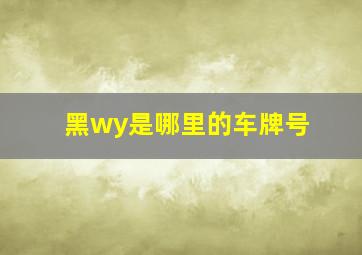 黑wy是哪里的车牌号