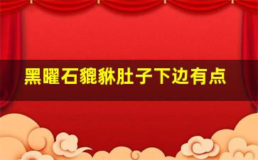 黑曜石貔貅肚子下边有点