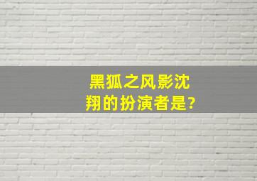 黑狐之风影沈翔的扮演者是?