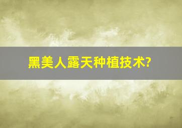 黑美人露天种植技术?