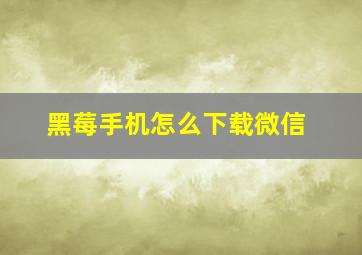 黑莓手机怎么下载微信