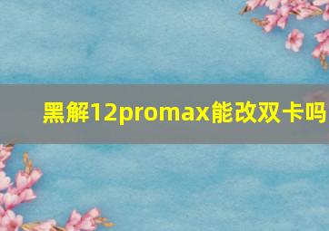 黑解12promax能改双卡吗?