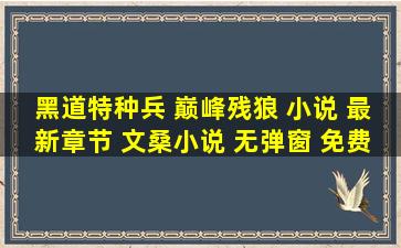 黑道特种兵 巅峰残狼 小说 最新章节 文桑小说 无弹窗 免费阅读...