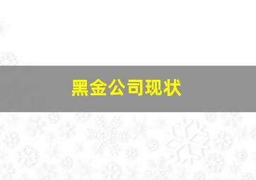 黑金公司现状